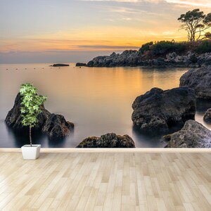 Bandol peel and stick or classic glue wall mural | wallcovering Bandol  reusable wall covering removable wall art wall decor nature