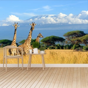 Giraffe Kilimanjaro tradizionale o rimozione foto murale / carta da parati Tre giraffe sullo sfondo del monte Kilimanjaro nel parco nazionale del Kenya,