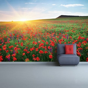 Papaveri di campo tradizionale incolla e incolla o murale fotografico rimovibile / carta da parati Campo con erba, fiori viola e papaveri rossi vinile foto
