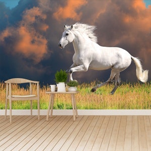Adesivo cavallo andaluso o tradizionale foto murale / carta da parati Cavallo andaluso bianco (Pura Raza Espanola) corre al galoppo in estate