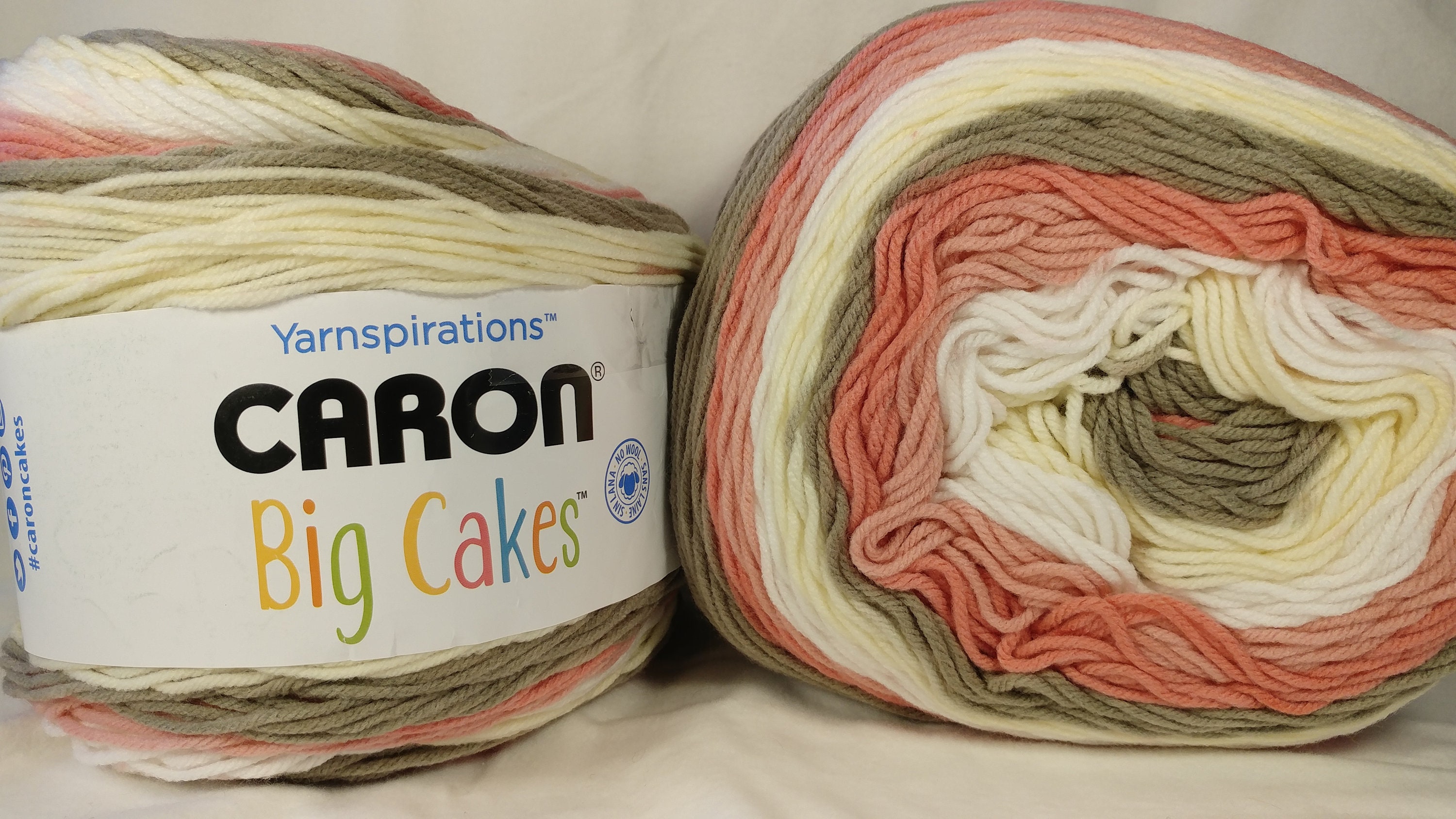 CAKE ROLL Caron BIG Cakes Yarn Big 10.3oz / 603 yards Etsy