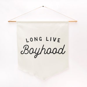 Long Live Boyhood Pennant Style Banner Pennant Flag Wall Art Banner, Kids Room Decor, Nursery or Play Room Wall Decor image 9