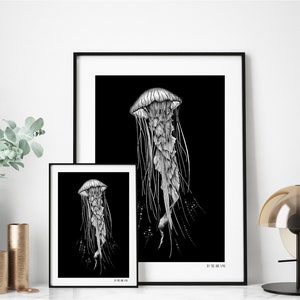 Dancing queen jellyfish, limited edition of screen printing, big size, prints, ocean, illustration, wall decor, naturalista, underwater