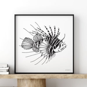 Purple haze - Serigrafia, edição limitada, pôster de belas artes, peixe-escorpião, preto e branco, 2 formatos, ilustração marinha, peixe-leão