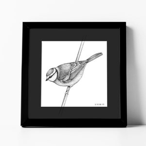 Pretty chickadee - Fine art print, bird, print, nature, illustration, wall decor, dotwork, naturalist , 7.87"x7.87"