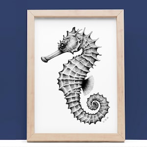 Könnte beinhalten: Eine Schwarzweißillustration eines Seepferdchens in einem Holzrahmen. Das Seepferdchen ist in einem detaillierten, realistischen Stil gezeichnet.