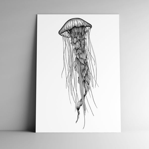 Carte postale MEDUSE et son enveloppe, format A6, 350 g, papier blanc mat, courrier, papeterie, fond marin, méduse, nature, océan