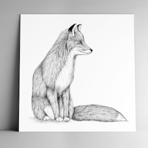 Post card FOX and mailing enveloppe, square, 350 g, white matte paper, stationery, illustration, animal,  serenity, nature, wild