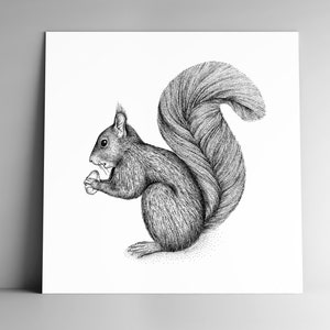 Carte ECUREUIL et son enveloppe, carrée, 350 g, papier blanc mat, papeterie, illustration, mignonnerie, animal, nature, sauvage, forêt