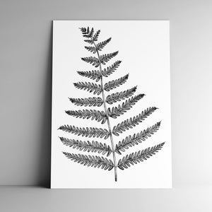 Carte postale FOUGERE et son enveloppe, format A6, 350 g, papier blanc mat, courrier, papeterie, sous-bois, plante, foret, botanique