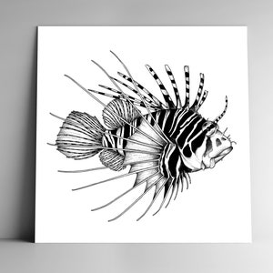 Carte postale RASCASSE et son enveloppe, carrée, 350g, papier blanc mat, courrier, papeterie, fond marin, illustration marine, poisson
