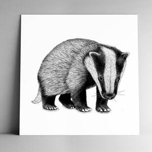Carte postale BLAIREAU et son enveloppe, carrée, 350 g, papier blanc mat, papeterie, illustration, mignonnerie, animal, nature, forêt