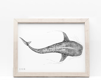 Requin baleine - Affiche, A5, A4, A3, mer, marin, océan, baleine, poisson, noir et blanc, illustration marine, déco, impression d'art