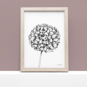 Peut inclure: Une impression botanique en noir et blanc encadrée, représentant une illustration détaillée d'une fleur d'hortensia. L'œuvre est dans un cadre en bois clair, posée sur une surface blanche devant un fond violet clair. La signature de l'artiste, "BY THE INK", est visible.