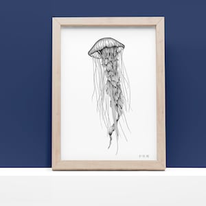 May include: A black and white illustration of a jellyfish with long tentacles, framed in a light wood frame. The print is titled "By The Ink."
