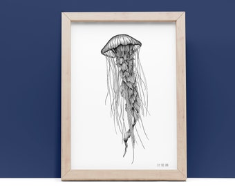 Dancing queen - Affiche fine art, méduse, océan, dessin, noir et blanc, affiche, illustration marine, déco, impression d'art