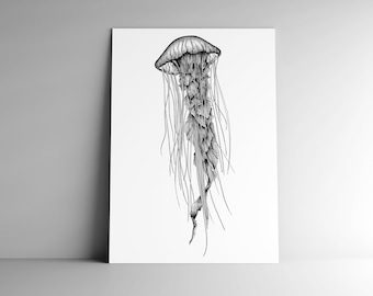 Carte postale MEDUSE et son enveloppe, format A6, 350 g, papier blanc mat, courrier, papeterie, fond marin, méduse, nature, océan