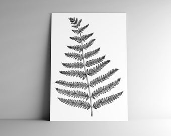 Carte postale FOUGERE et son enveloppe, format A6, 350 g, papier blanc mat, courrier, papeterie, sous-bois, plante, foret, botanique