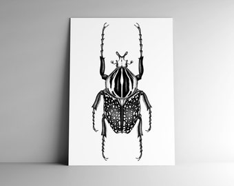 Carte postale GOLIATH et son enveloppe, format A6, 350 g, papier blanc mat, courrier, papeterie, illustration naturaliste, insecte,scarabée