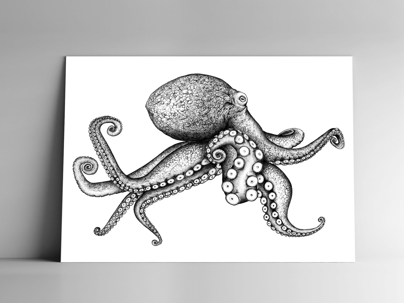 Octopus Card. Осьминог кролик. Черепаха и осьминог разрезная картинка.