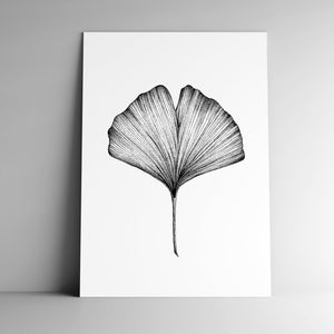 Carte postale GINGKO feuille et son enveloppe, format A6, papier blanc mat 350g, courrier, papeterie, illustration végétale, botanique