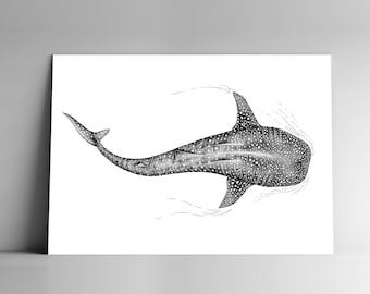 Post card WHALE SHARK and mailing enveloppe, format A6, 350 g, white matte paper, mail, stationery, illustration, nature, ocean, fish