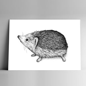 Carte postale HERISSON et son enveloppe, format A6, 350 g, papier blanc mat, courrier, papeterie, illustration, naturaliste, forêt, animal