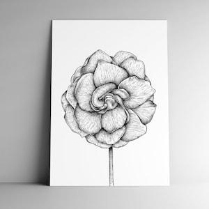 Carte postale GARDENIA et son enveloppe, format A6, papier blanc mat 350g, courrier, papeterie, illustration végétale, jardin, botanique