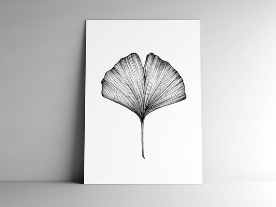 Post Card Gingko Leave And Mailing Enveloppe Format A6 350 Etsy
