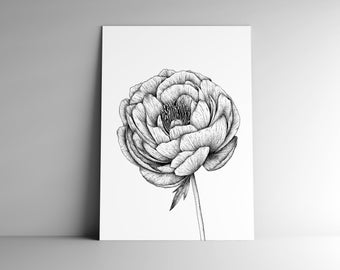 Carte postale PIVOINE et son enveloppe, format A6, papier blanc mat 350g, courrier, papeterie, illustration végétale, jardin, botanique