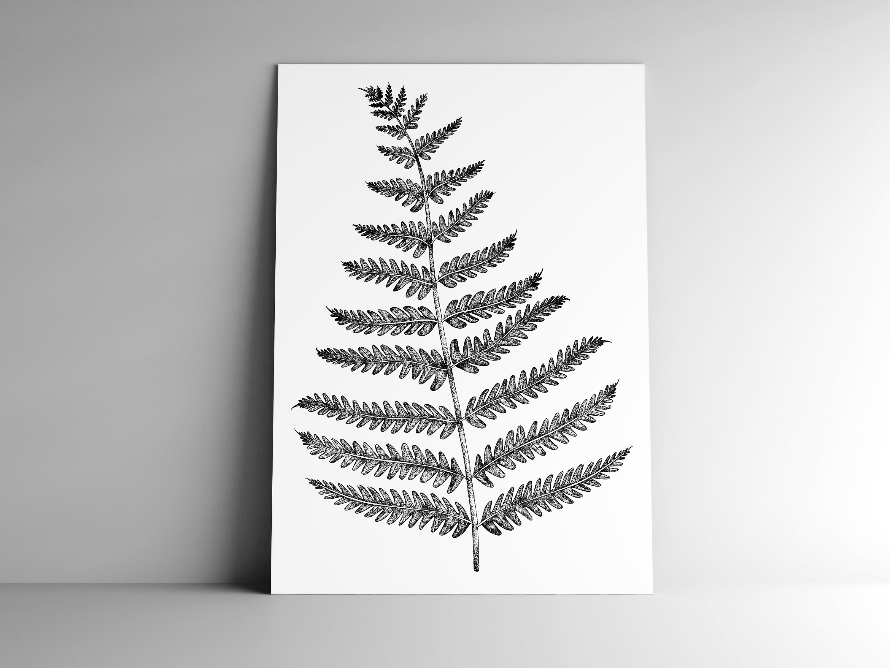 Post Card Fern And Mailing Enveloppe Format A6 350 G White Etsy Ireland