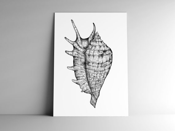 Paper Party Supplies Postcards Nature Ocean Format A6 Mail Post Card Snail And Mailing Enveloppe Dotwork 350 G Stationery White Matte Paper Illustration Paper Party Supplies Postcards Nature Ocean Format A6 Mail Post Card Snail And Mailing Enveloppe Dotwork 350 G Stationery White Matte Paper Illustration