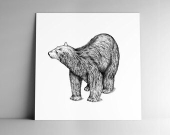 Carte Du Pole Nord Etsy