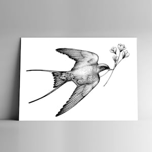 Carte postale HIRONDELLE et son enveloppe, format A6, 350 g, papier blanc mat, courrier, papeterie, illustration, naturaliste, oiseau