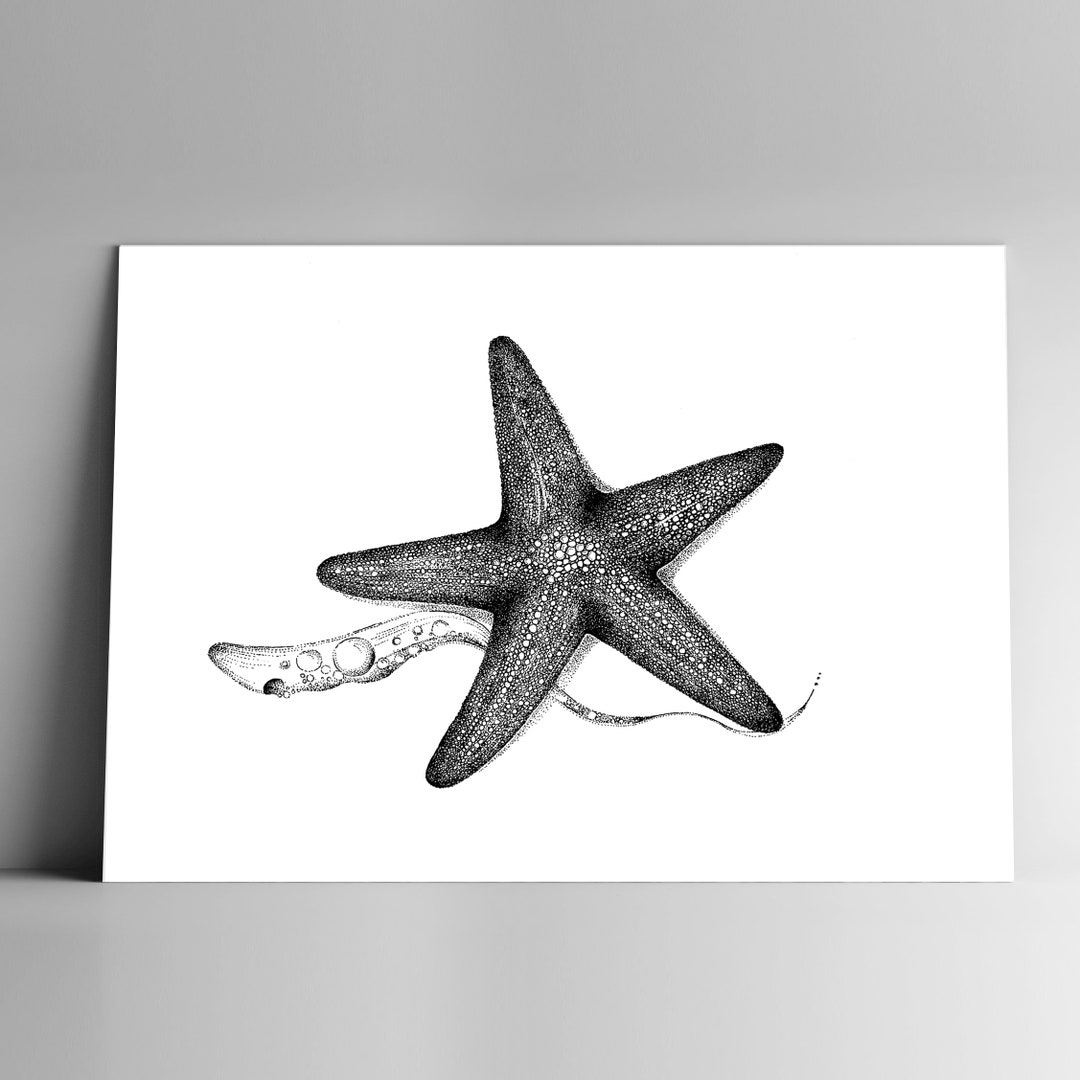 Post Card STARFISH and Mailing Enveloppe, Format A6, 350 G, White Matte  Paper, Mail, Stationery, Illustration, Dotwork, Holidays, Ocean -   Denmark