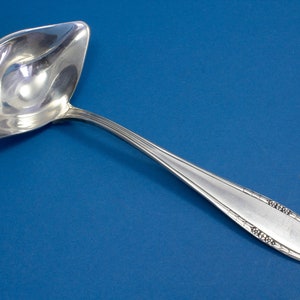 Gravy and sauce ladle Wellner