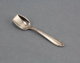 Colher de sal, colher de especiarias, colher prateada para especiarias