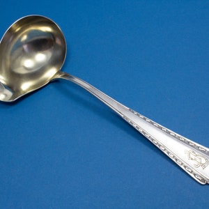 Gravy and sauce ladle VSF