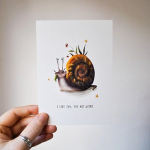 CARTÃO POSTAL - Slug - Eu gosto de você, você é estranho