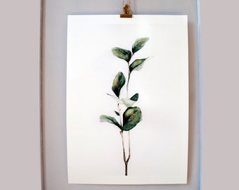 BLOOM - Eucalyptus - ArtPrint A4/ A3