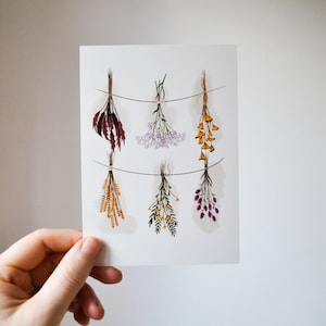 CARTÃO POSTAL - Ervas - Flores Secas