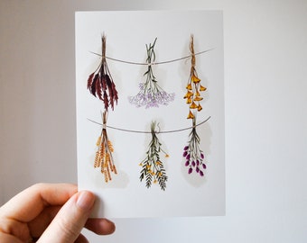 POSTCARD - Herbs - Dried Flowers