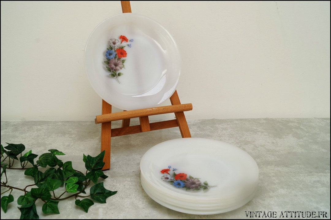 Assiettes vintage Arcopal Narcisse