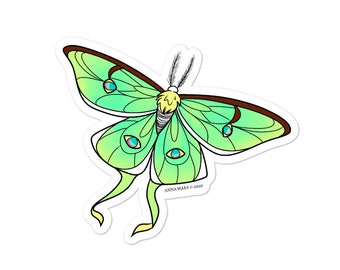 Luna Moth Bubble-free stickers- Moon Flower Studio- Luna Moth Sticker