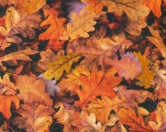 Imaginings SRKD-20911-191 autumn leaves  for Robert Kaufman