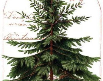 Classic Christmas PD16280 PANEL botanical main panel by J. Wecker Frisch for Riley Blake