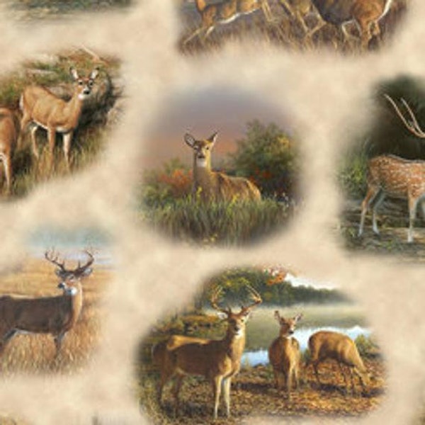 Deer Valley 1649-26892-E for QT Fabrics