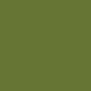 Pesto CSFSESS.PESTO green solid for Freespirit