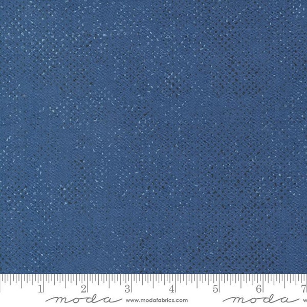 Bluish Spotted 1660-209 blueprint by Zen Chic for Moda