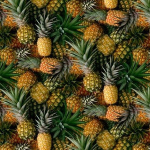 A La Carte 51895D-X welcome committee digital pineapple by Whistler Studio for Windham